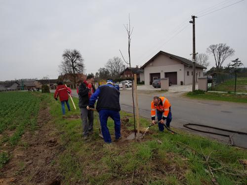 Sázení stromků na Dolní Rokytě 13.04.2019
